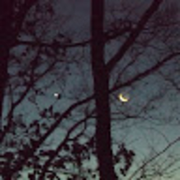 Meet your Posher, Noelia - Picture 1 of 1